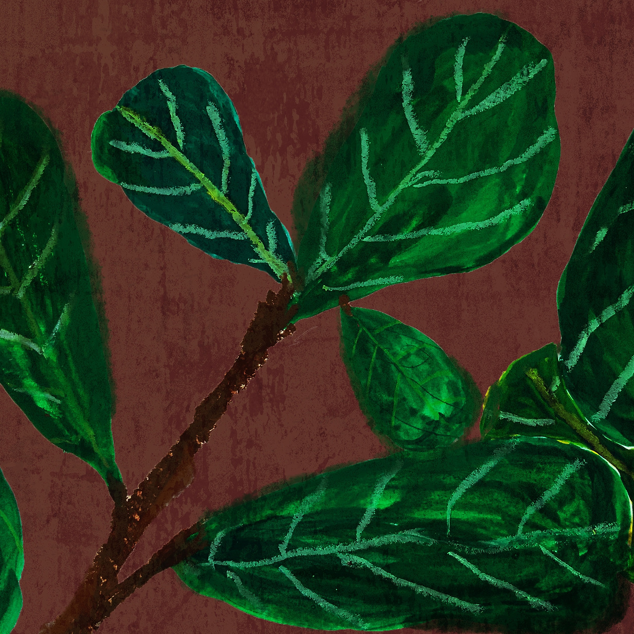 0926_고무나무 복사.jpg