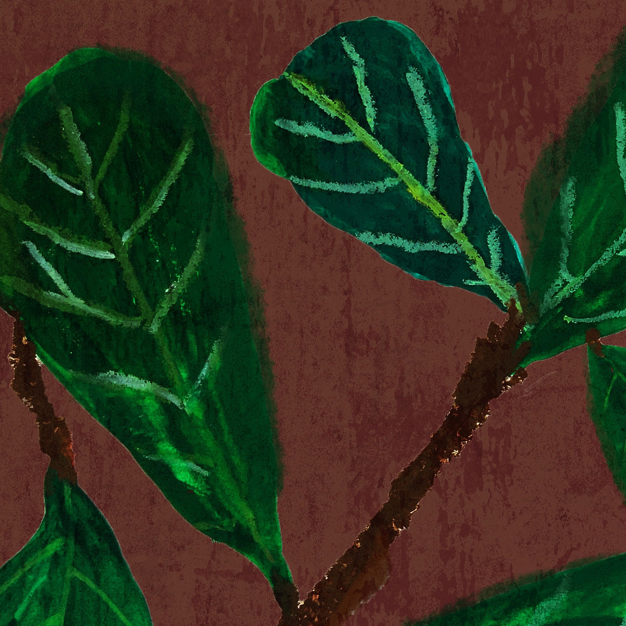 0926_고무나무 복사_2.jpg