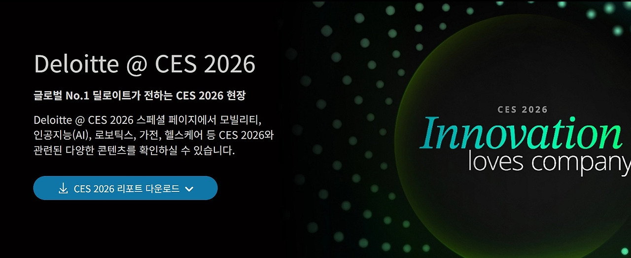 딜로이트 요약.jpg