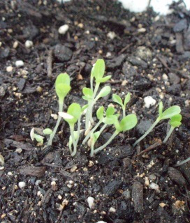 다운로드 (3).jpg