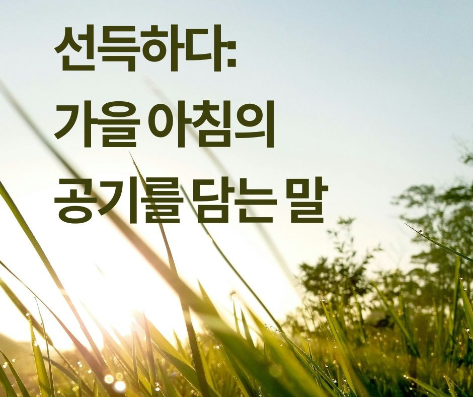 다시쓰는 국어사전.jpg