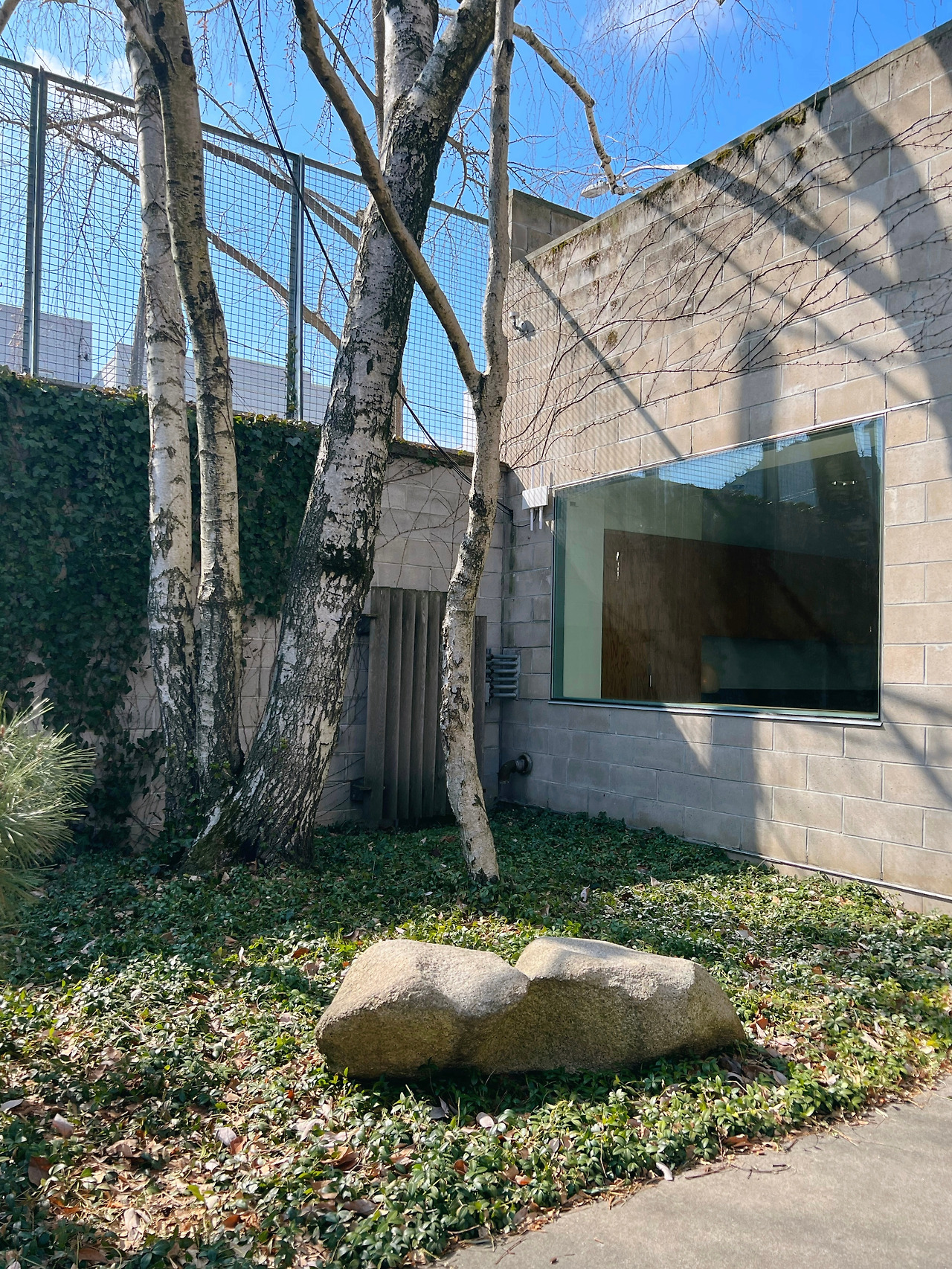 677324912.845671 2.jpg