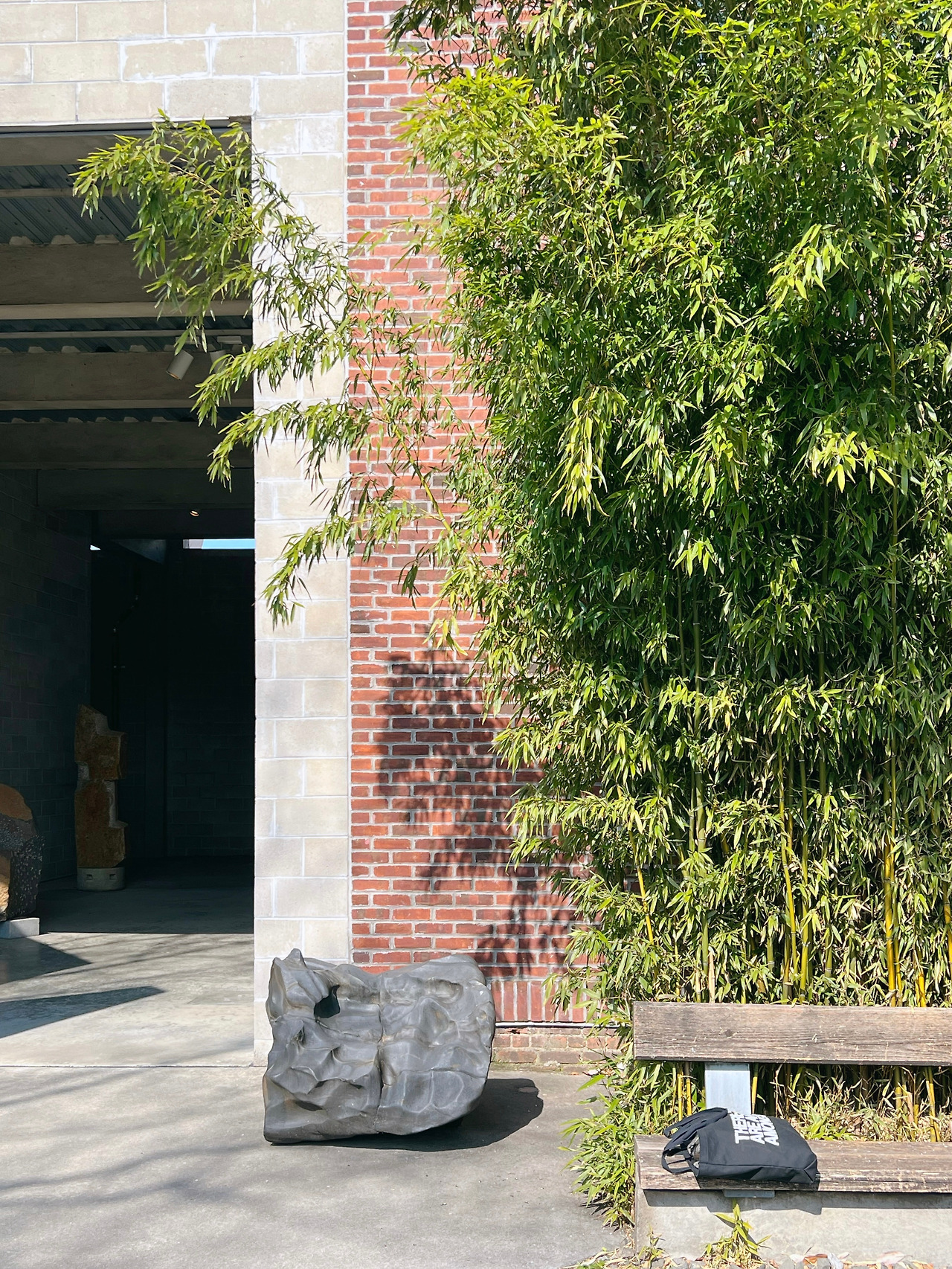 677324910.336226 2.jpg