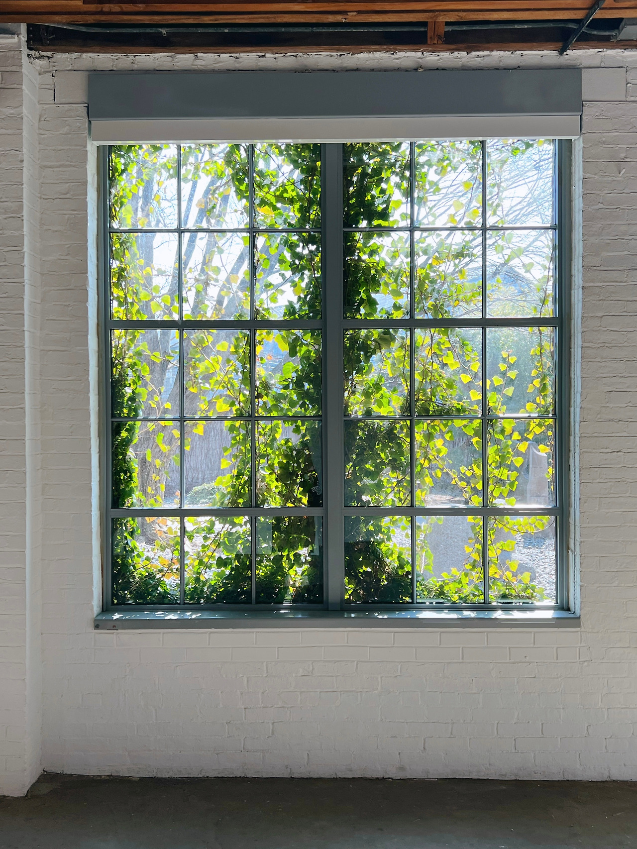 677324846.382570 2.jpg