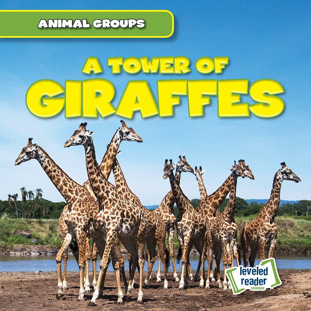 towerofgiraffes.jpg