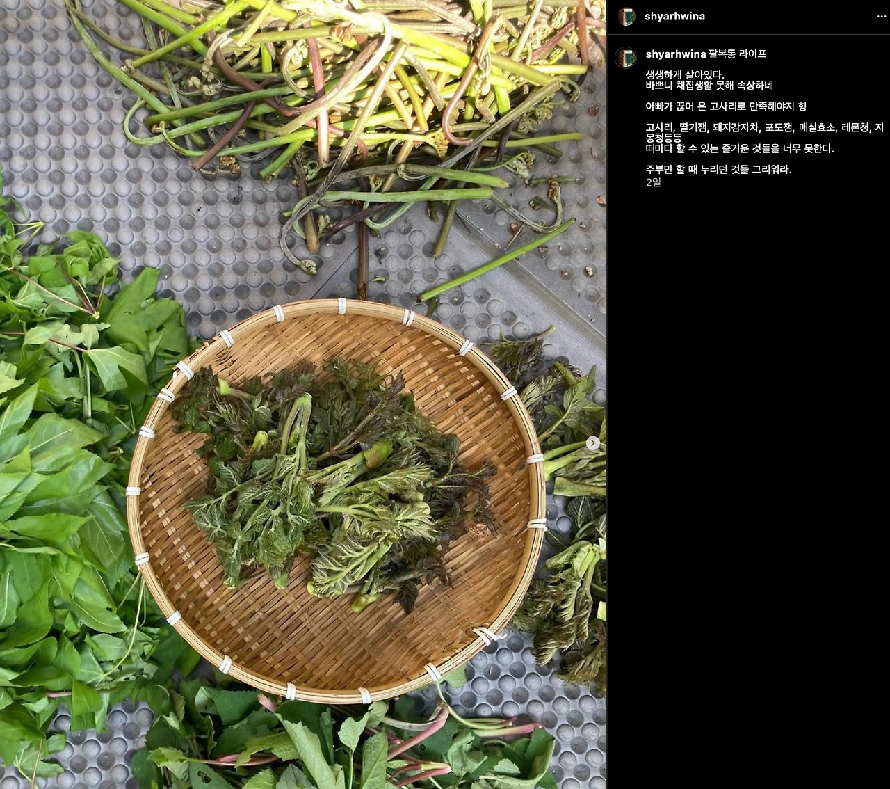 이미지 2025. 4. 29. 오후 11.13.jpg