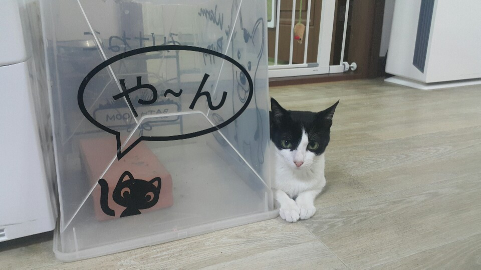 KakaoTalk_20190201_094909206.jpg