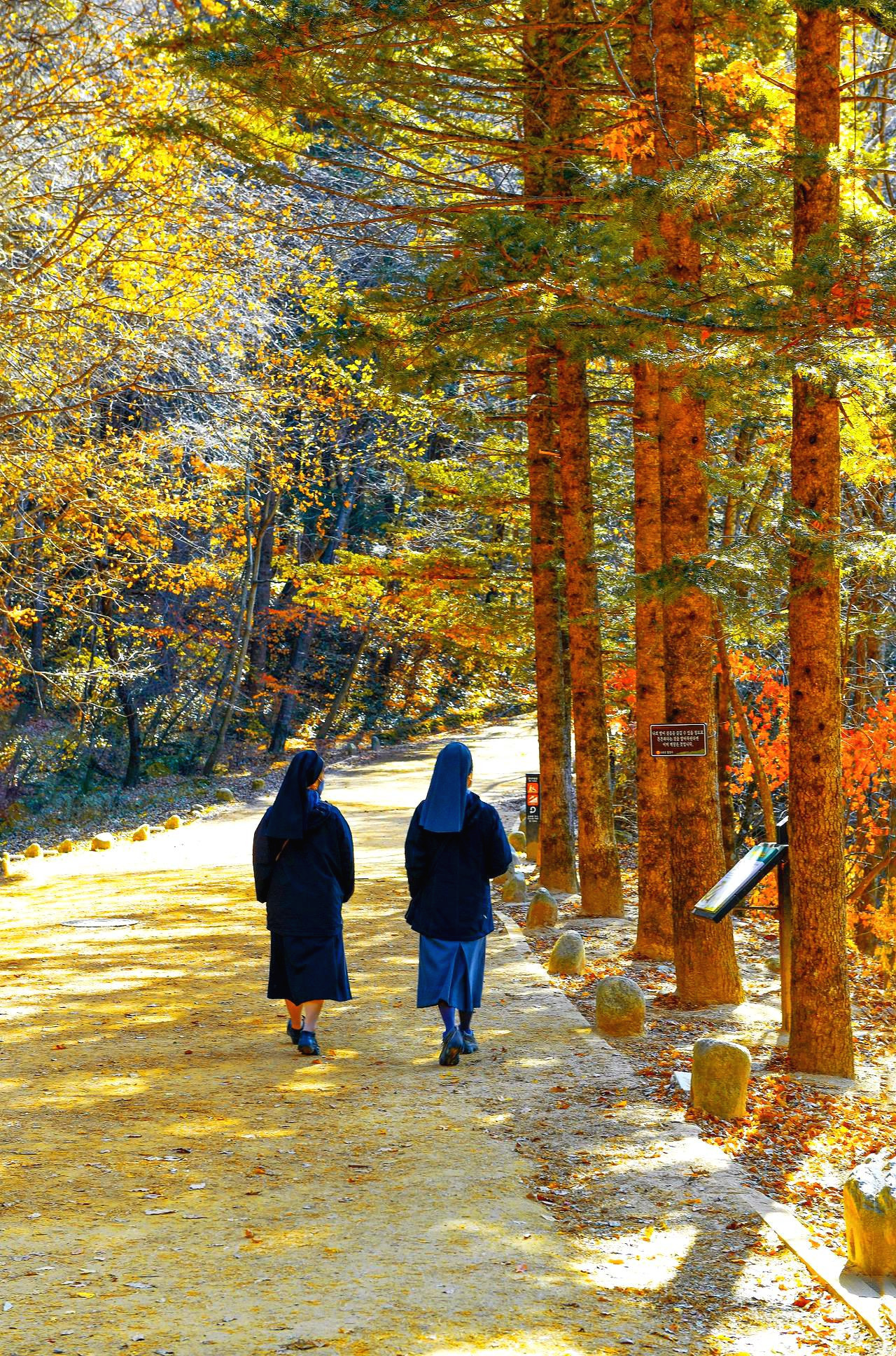 _DSC5841 - 복사본.jpg`.jpg