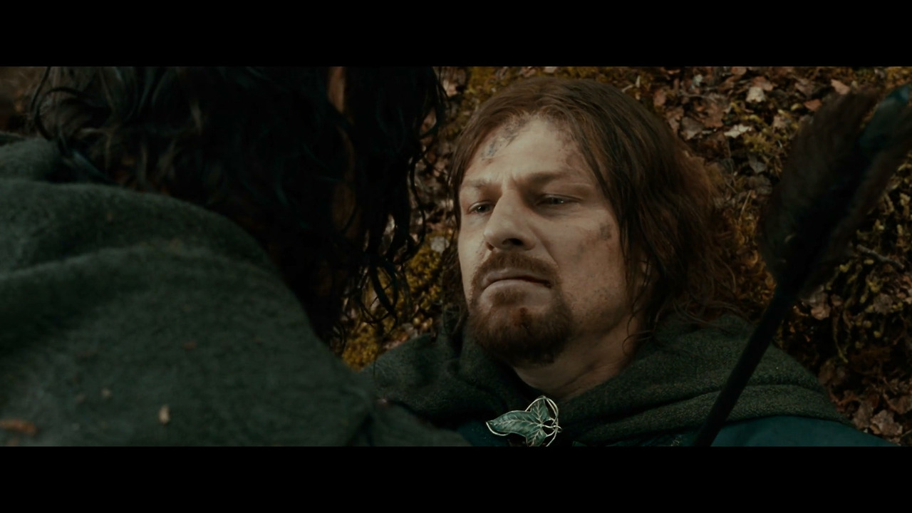 반지의 제왕 - 반지 원정대(확장판).2001.1080p.x264.AAC.mp4_20210630_135503.144.jpg