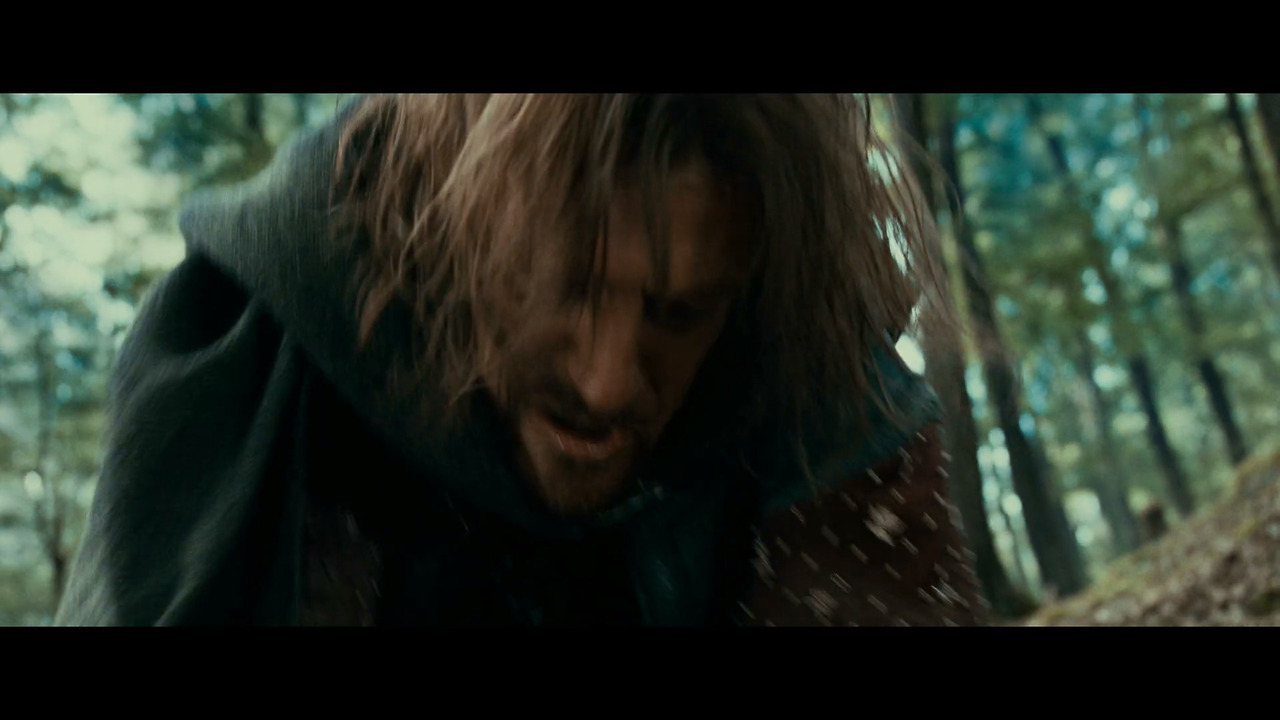 반지의 제왕 - 반지 원정대(확장판).2001.1080p.x264.AAC.mp4_20210630_135426.931.jpg