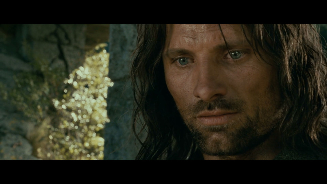 반지의 제왕 - 반지 원정대(확장판).2001.1080p.x264.AAC.mp4_20210630_135301.290.jpg