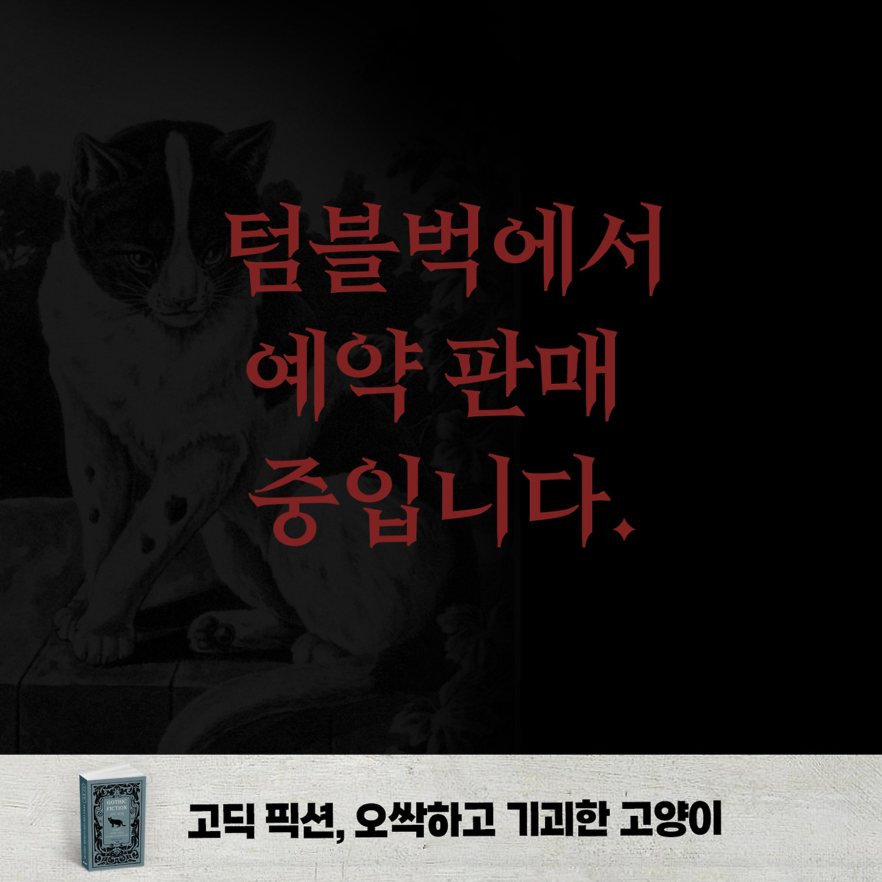 고딕 픽션 고양이 카드뉴스 07.jpg