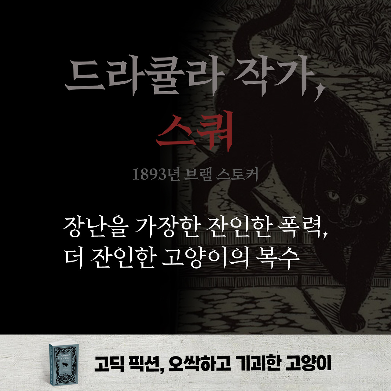 고딕 픽션 고양이 카드뉴스 04.jpg