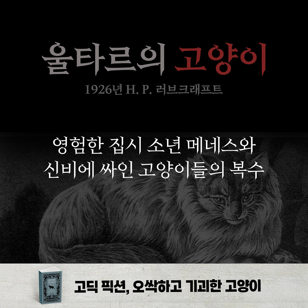 고딕 픽션 고양이 카드뉴스 03.jpg