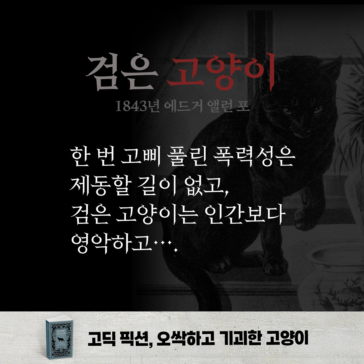 고딕 픽션 고양이 카드뉴스 05.jpg