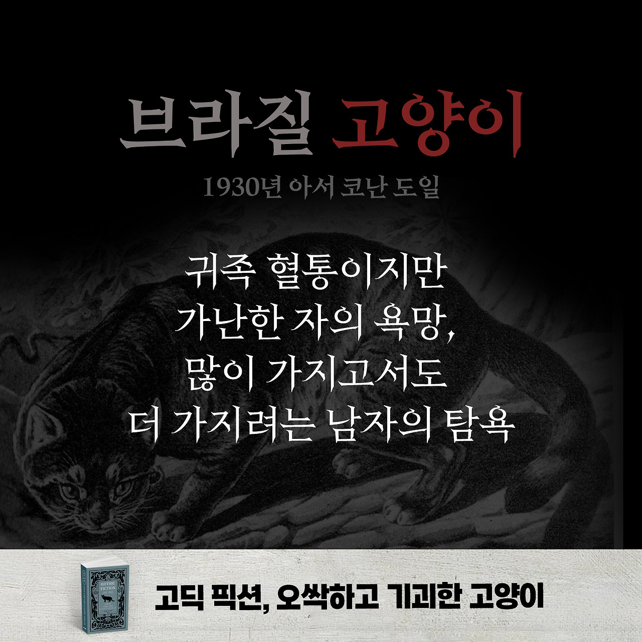 고딕 픽션 고양이 카드뉴스 02.jpg