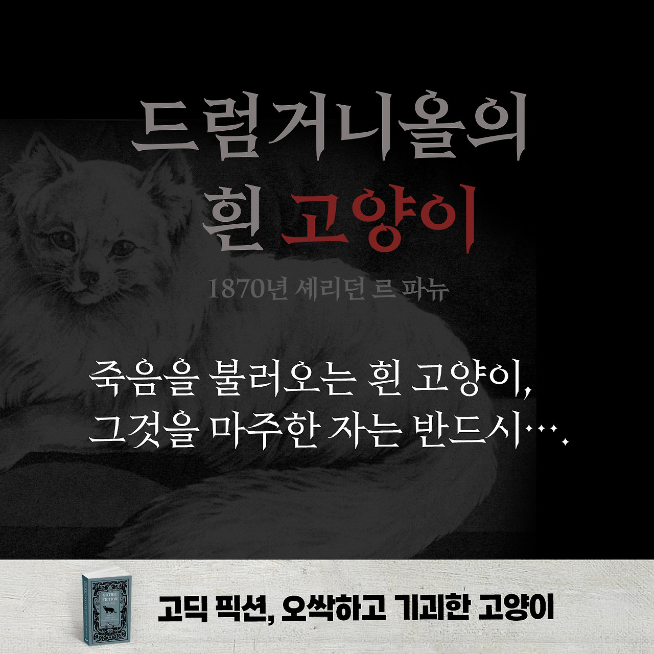 고딕 픽션 고양이 카드뉴스 01.jpg