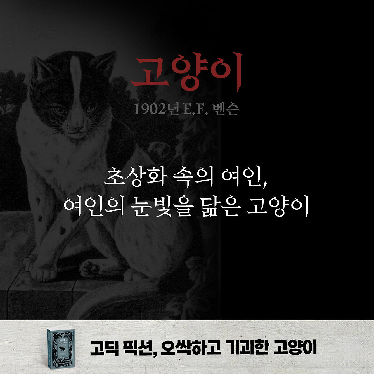 고딕 픽션 고양이 카드뉴스 06.jpg