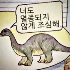 다운로드 (3).jpg