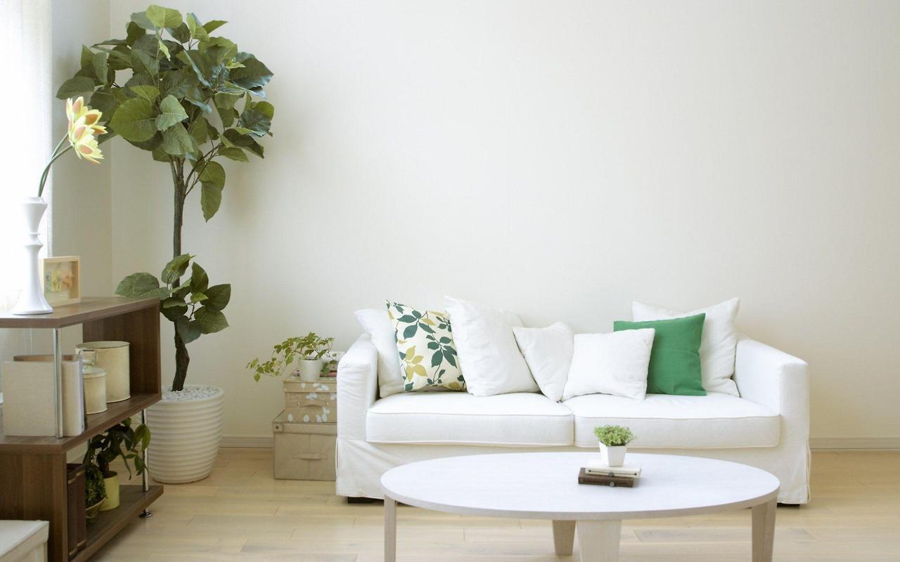 3840x2400-plant_room_table_couch_stylish_living_room_photography-27555.jpg