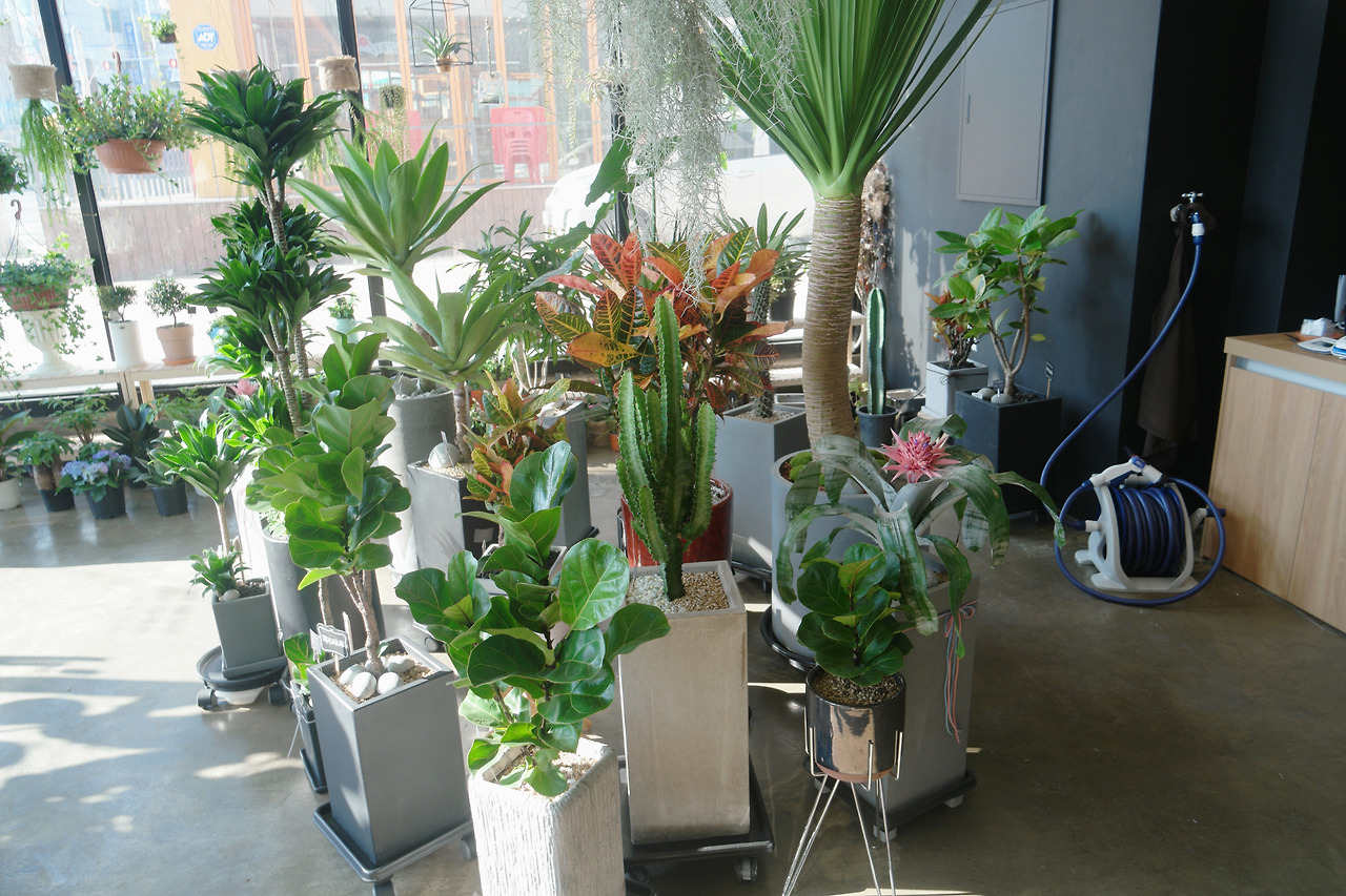 꽃집조명_아늑한조명_LED조명_에디슨전구_수원FROM_비츠조명_펜던트조 (3).jpg