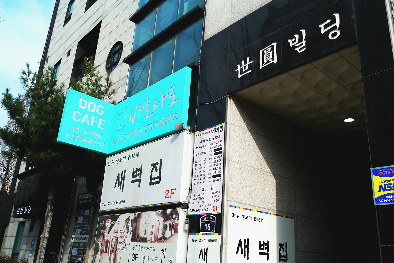 비츠조명 바로나도 00.jpg