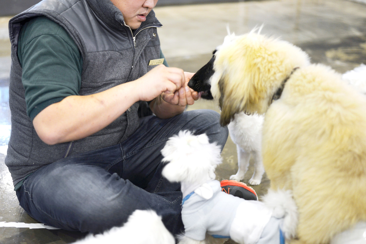 비츠조명 바로나도 06.jpg