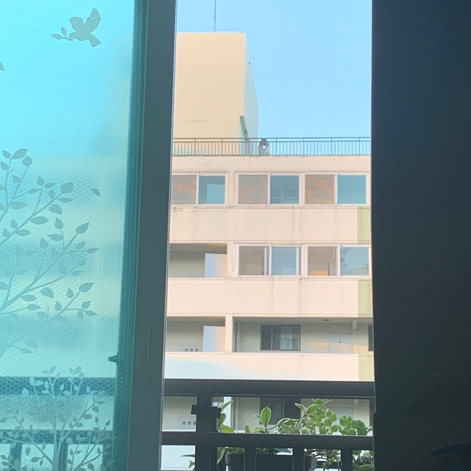 아무것도 입히지 않은 자체가 아름다웠다..jpg