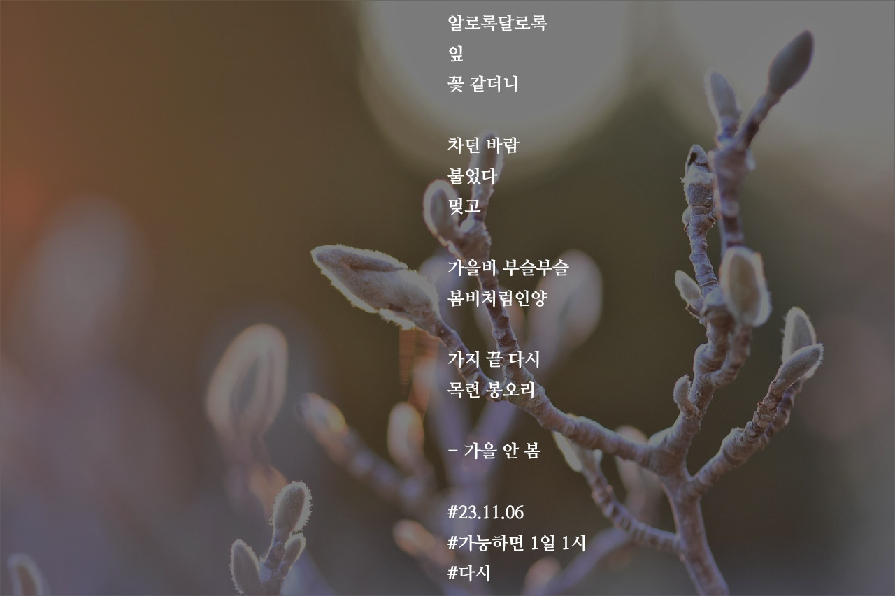 [가능하면 1일 1시] 가을 안 봄