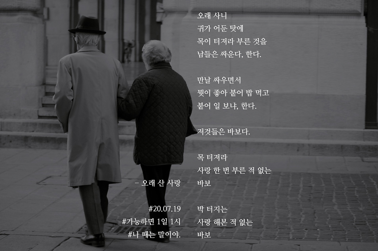 [가능하면 1일 1시] 오래 산 사랑