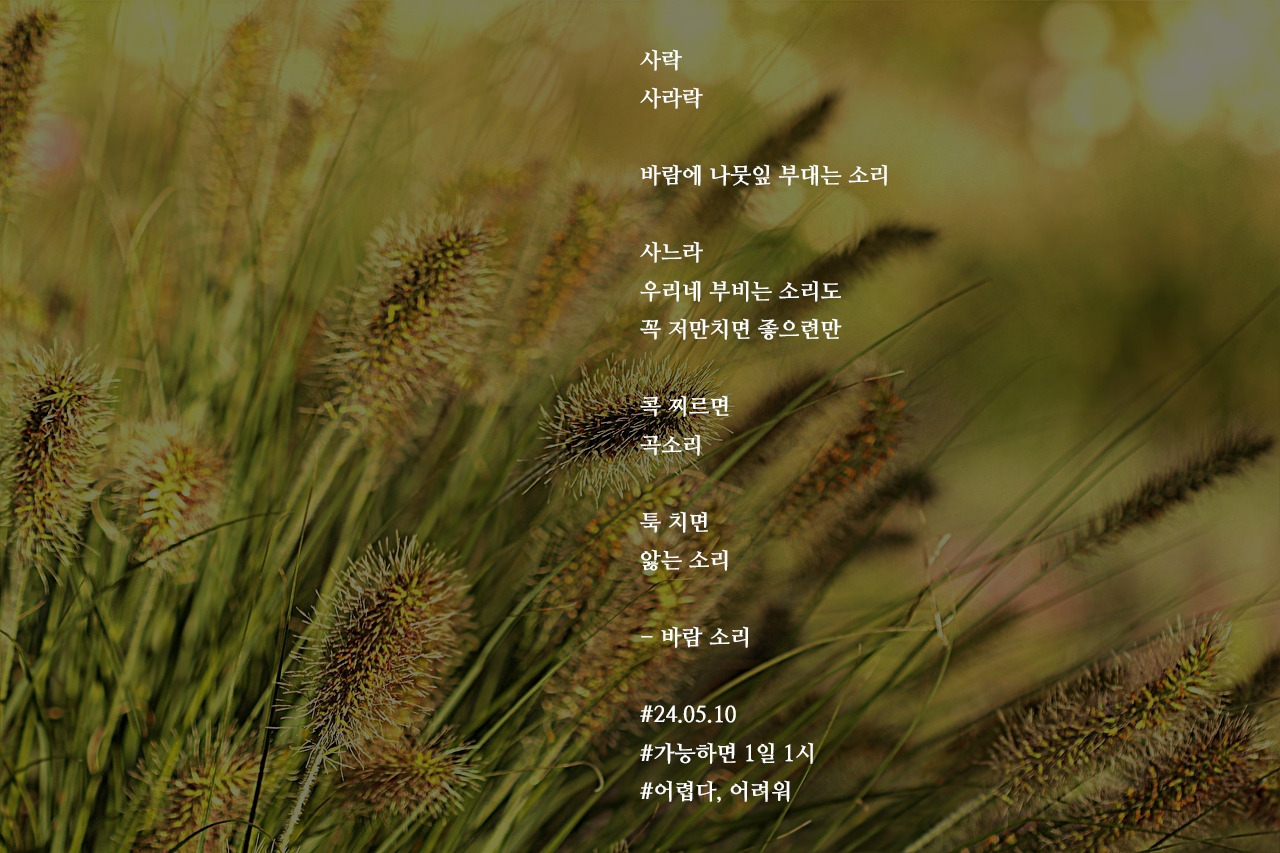 [가능하면 1일 1시] 바람 소리