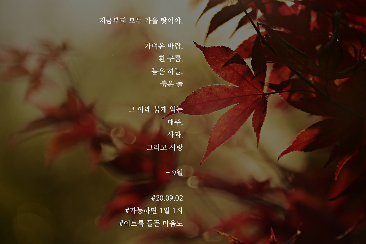 [가능하면 1일 1시] 9월