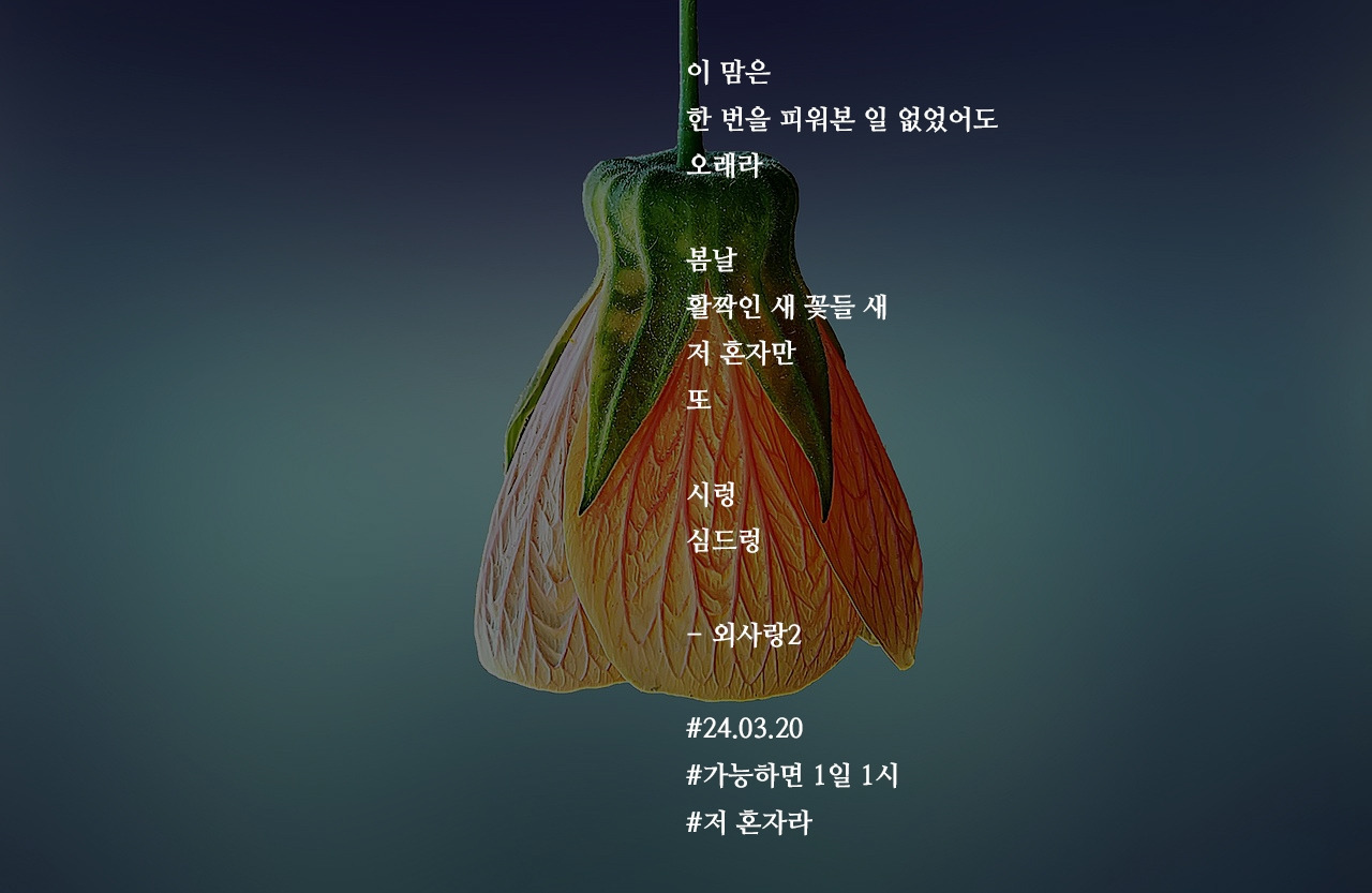 [가능하면 1일 1시] 외사랑2
