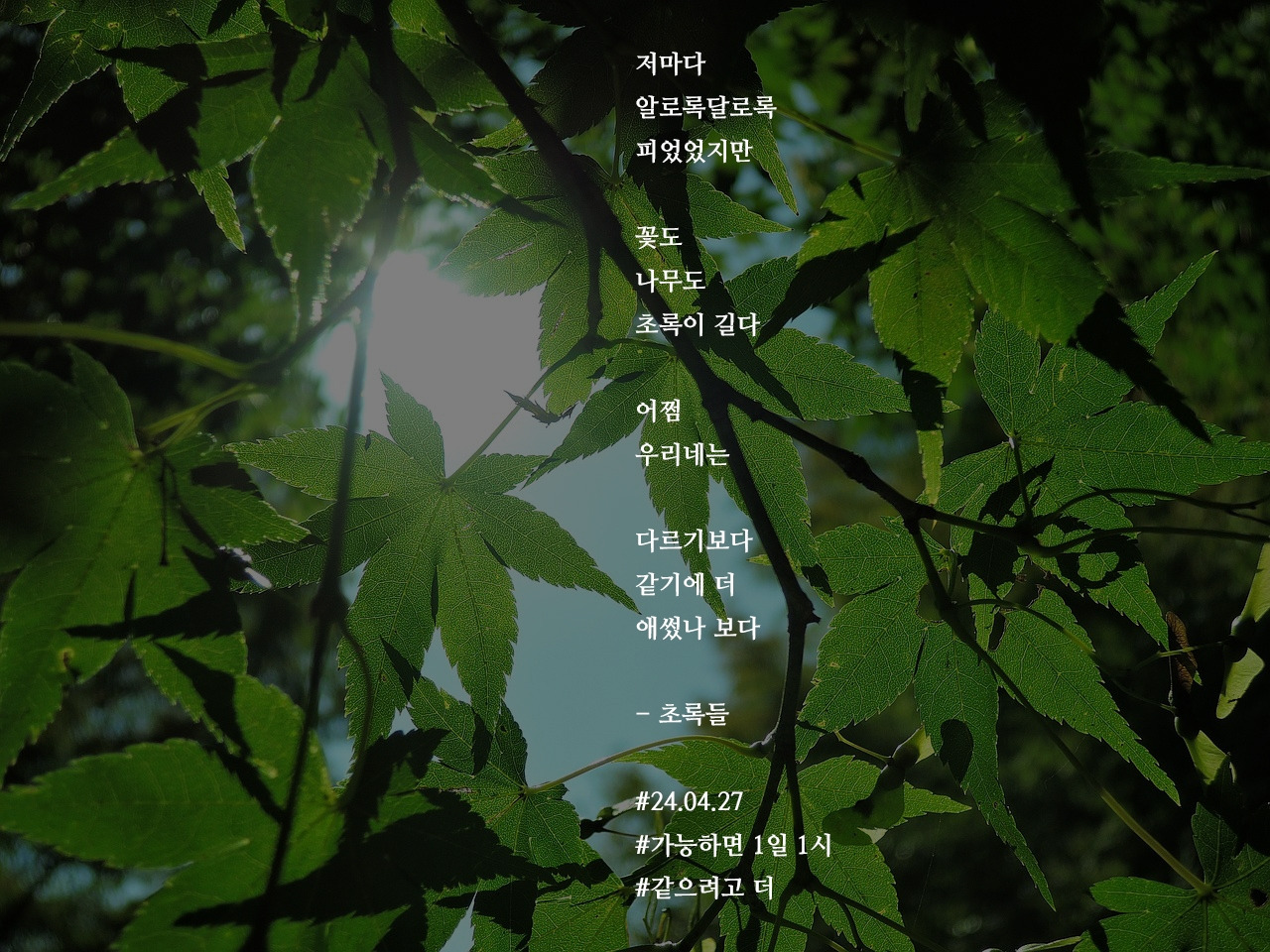 [가능하면 1일 1시] 초록들