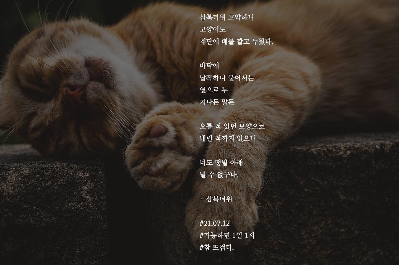 [가능하면 1일 1시] 삼복더위
