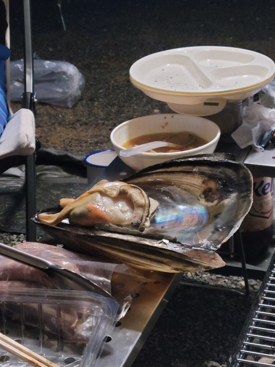 진수다-230528-29 HMG & 학암포캠핑-51507392399.jpg