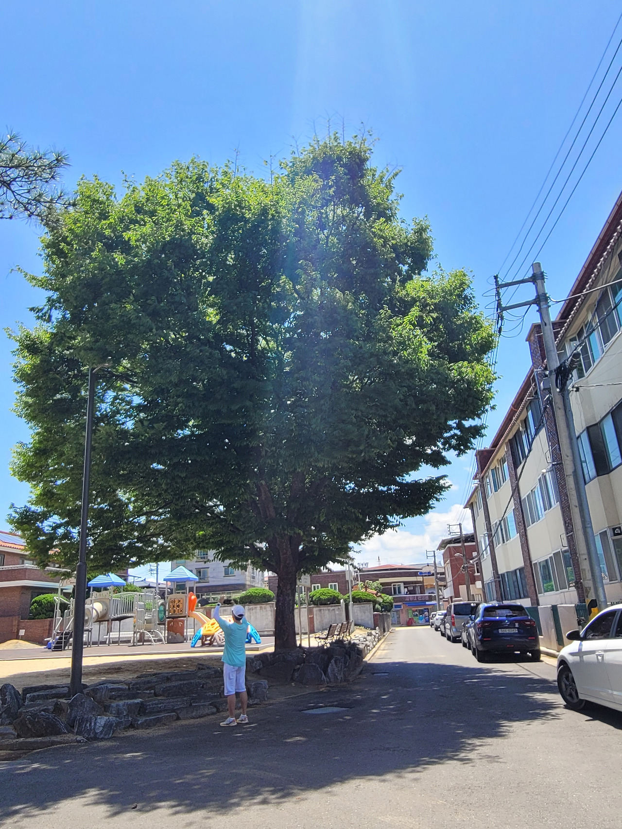 웅부주택 뒷길(2).jpg