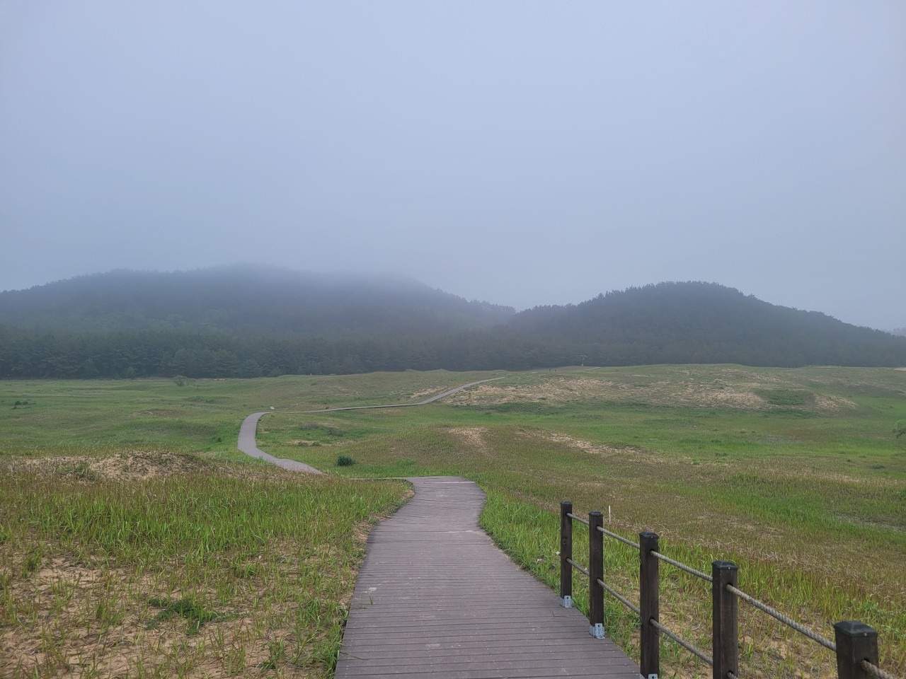 진수다-230528-29 HMG & 학암포캠핑-51507516448.jpg