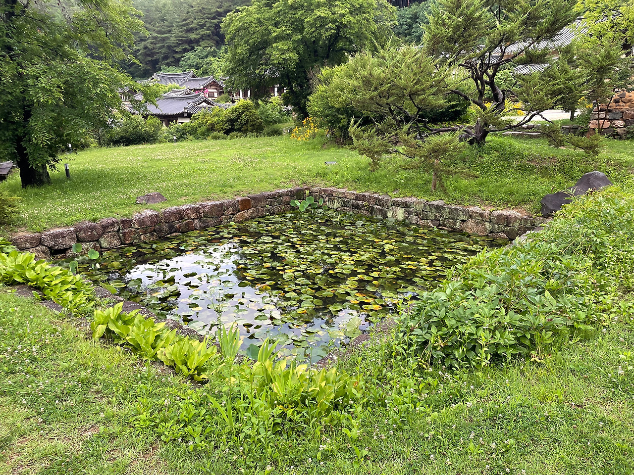 탁청정 연못.jpg