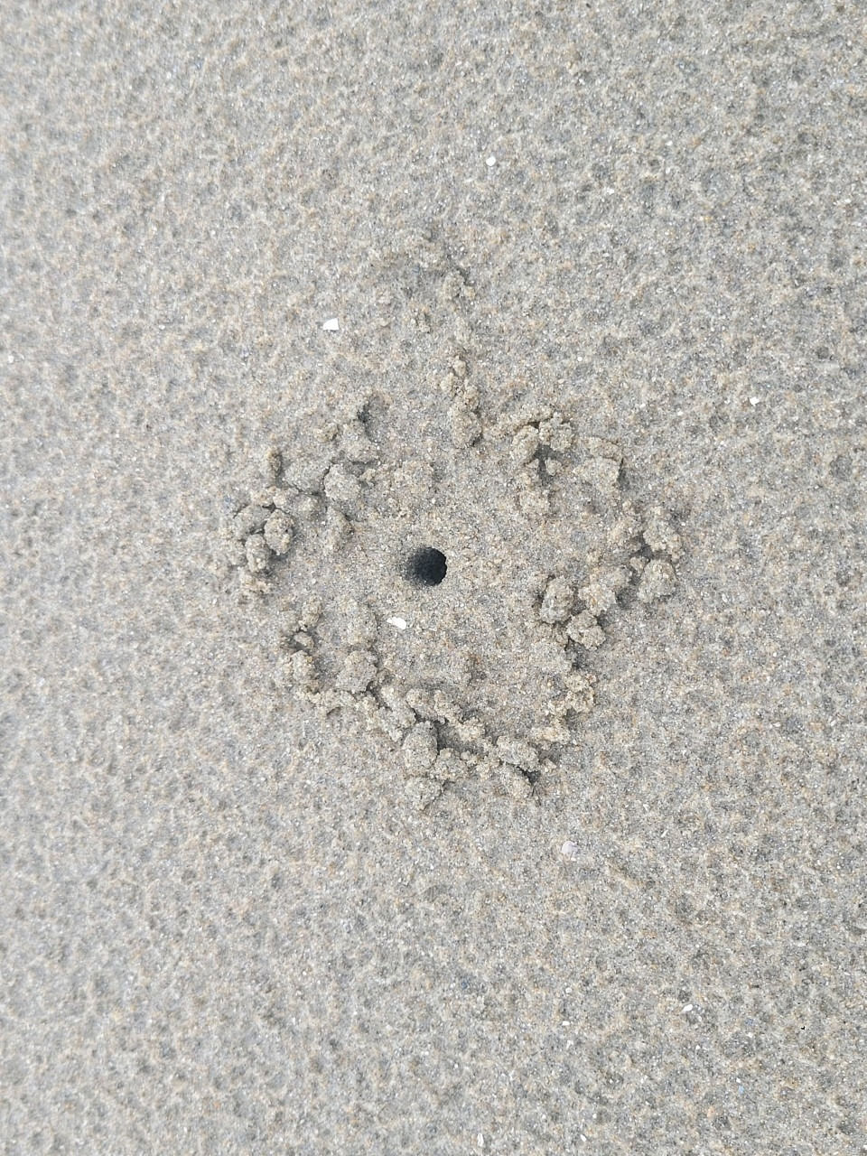 진수다-230528-29 HMG & 학암포캠핑-51507557516.jpg