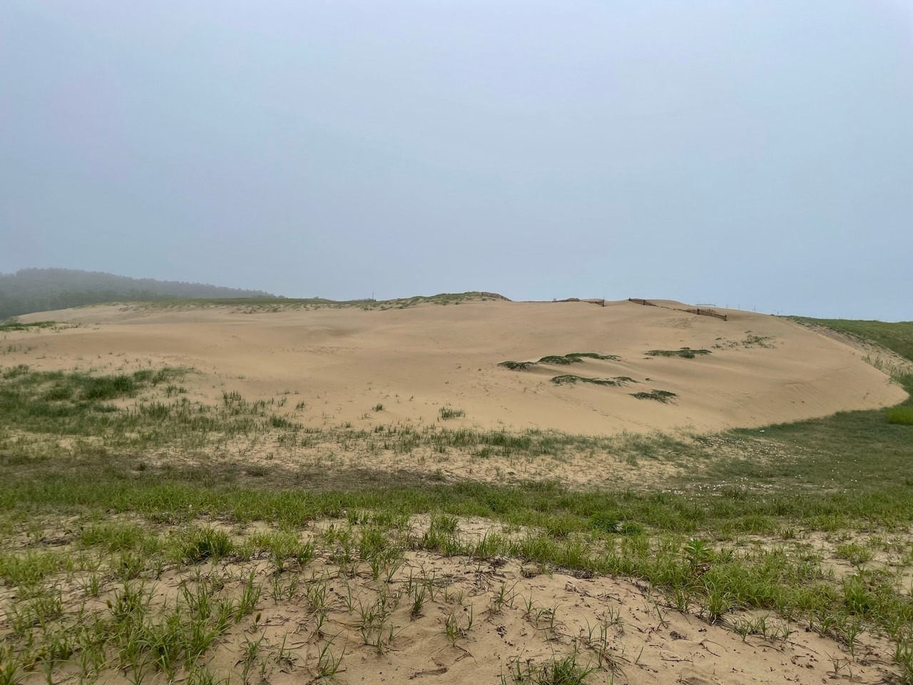 진수다-230528-29 HMG & 학암포캠핑-51509717814.jpg