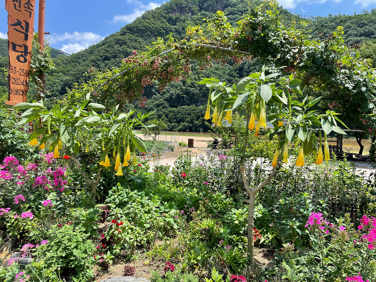 이름모를 꽃들.jpg