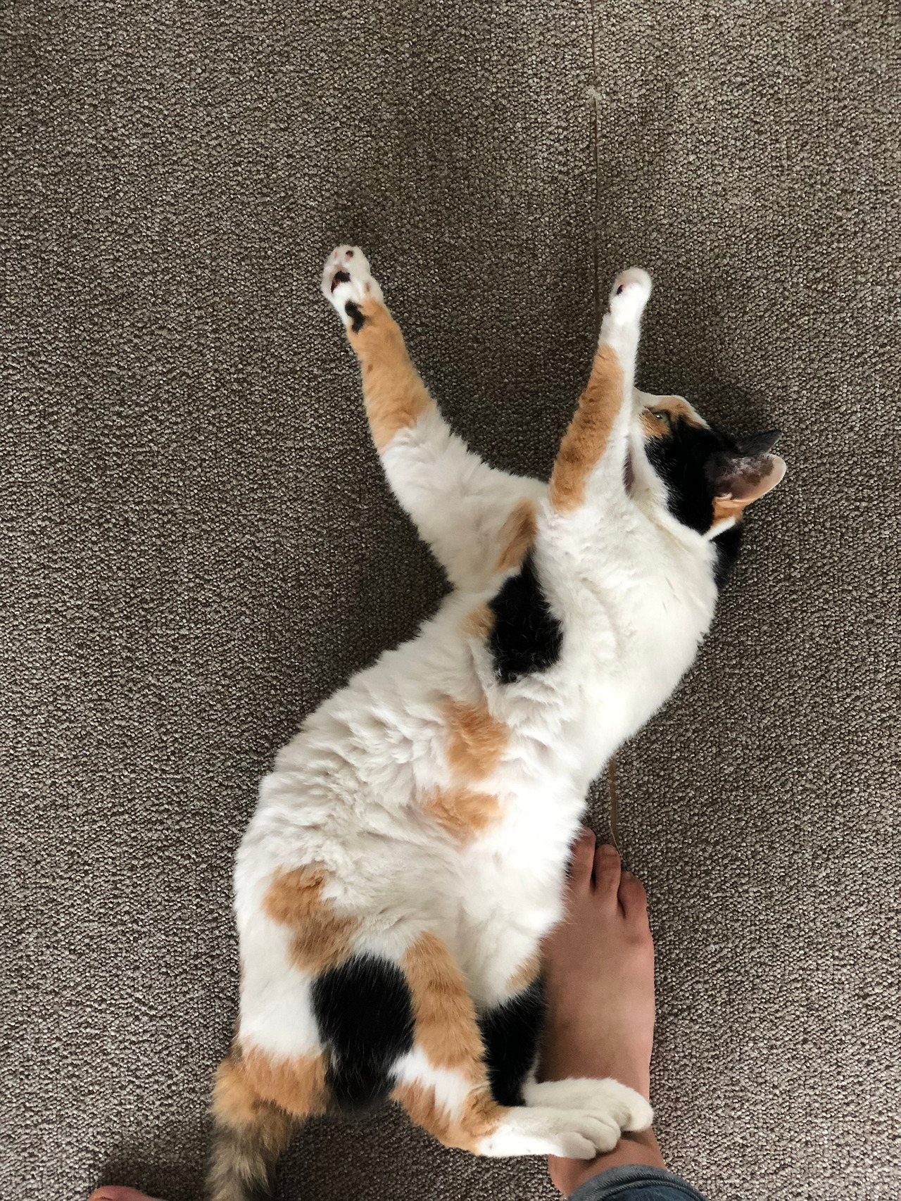 2019-09-08 13.10.59.jpg