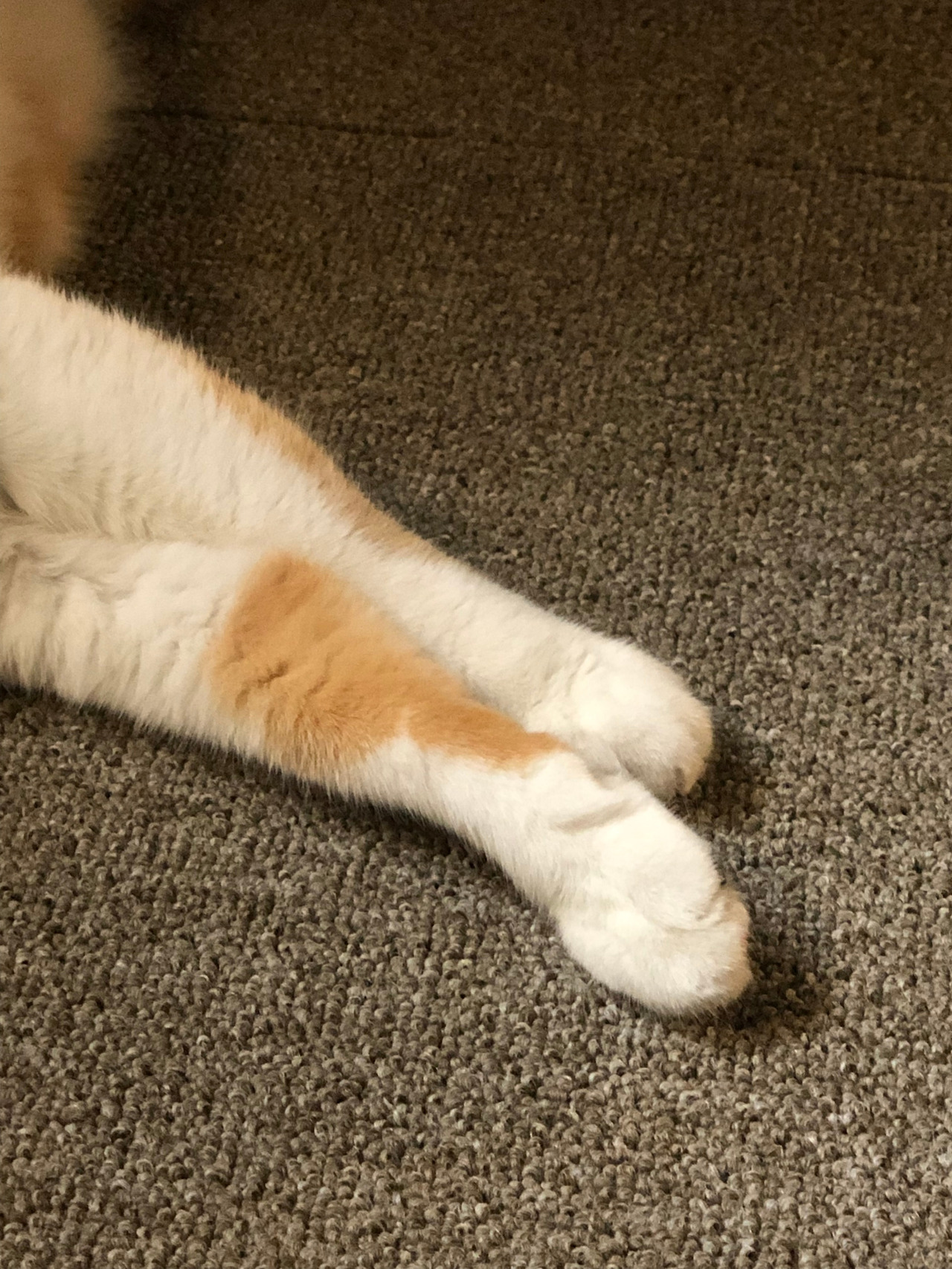 2019-09-14 12.45.00.jpg