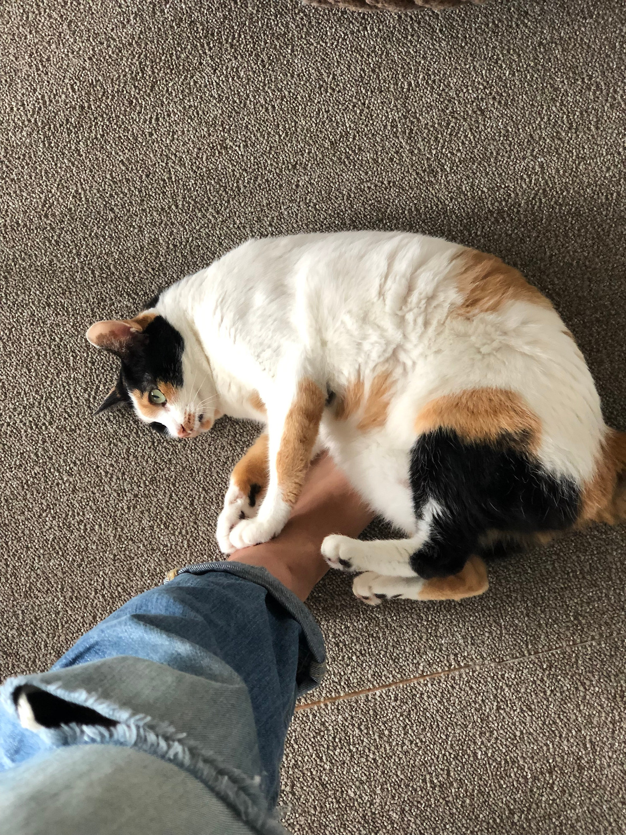 2019-09-08 13.11.50.jpg