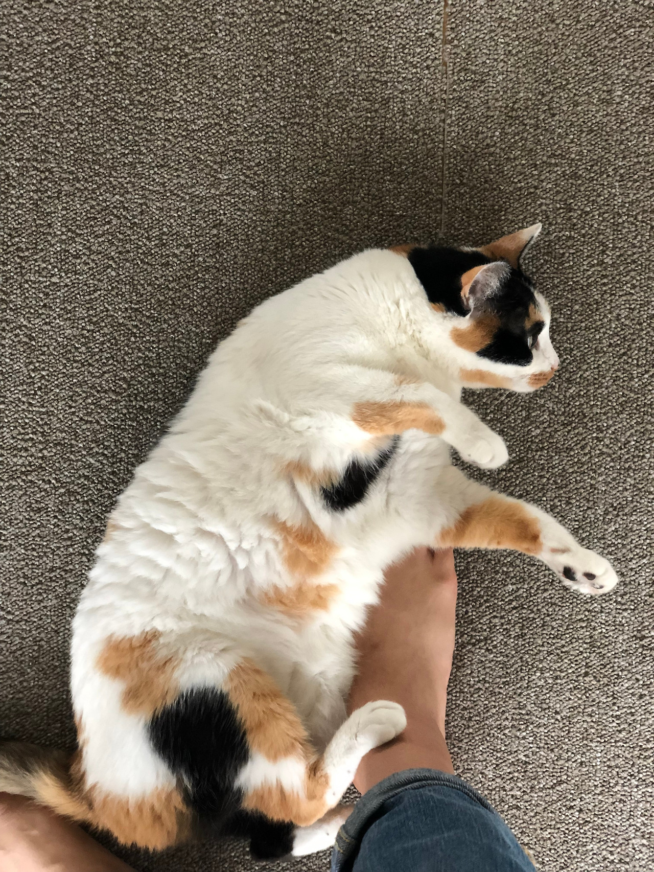 2019-09-08 13.10.40.jpg