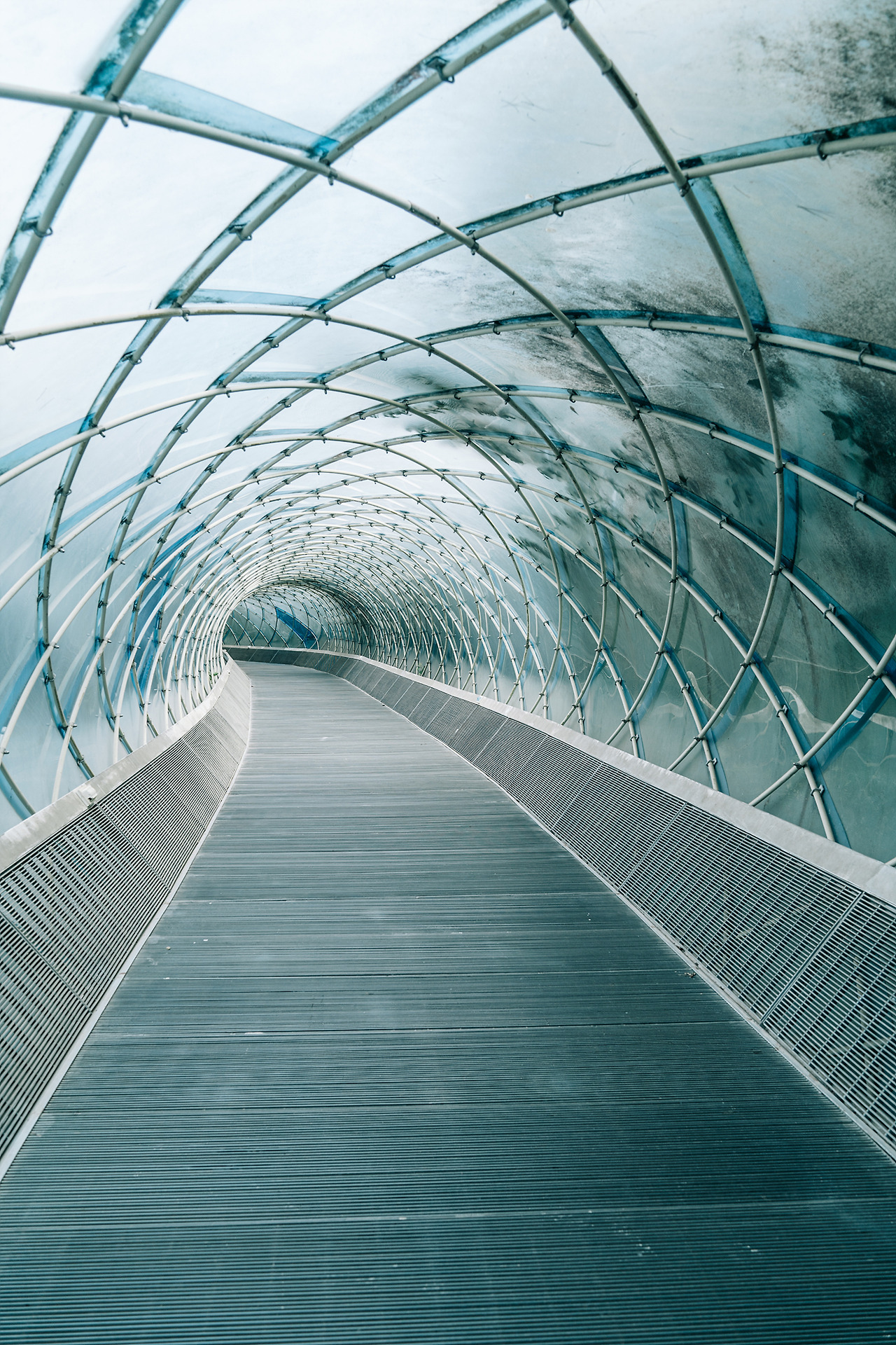 나무 위의 선으로 된 집_아콘치 스튜디오 (2).jpg