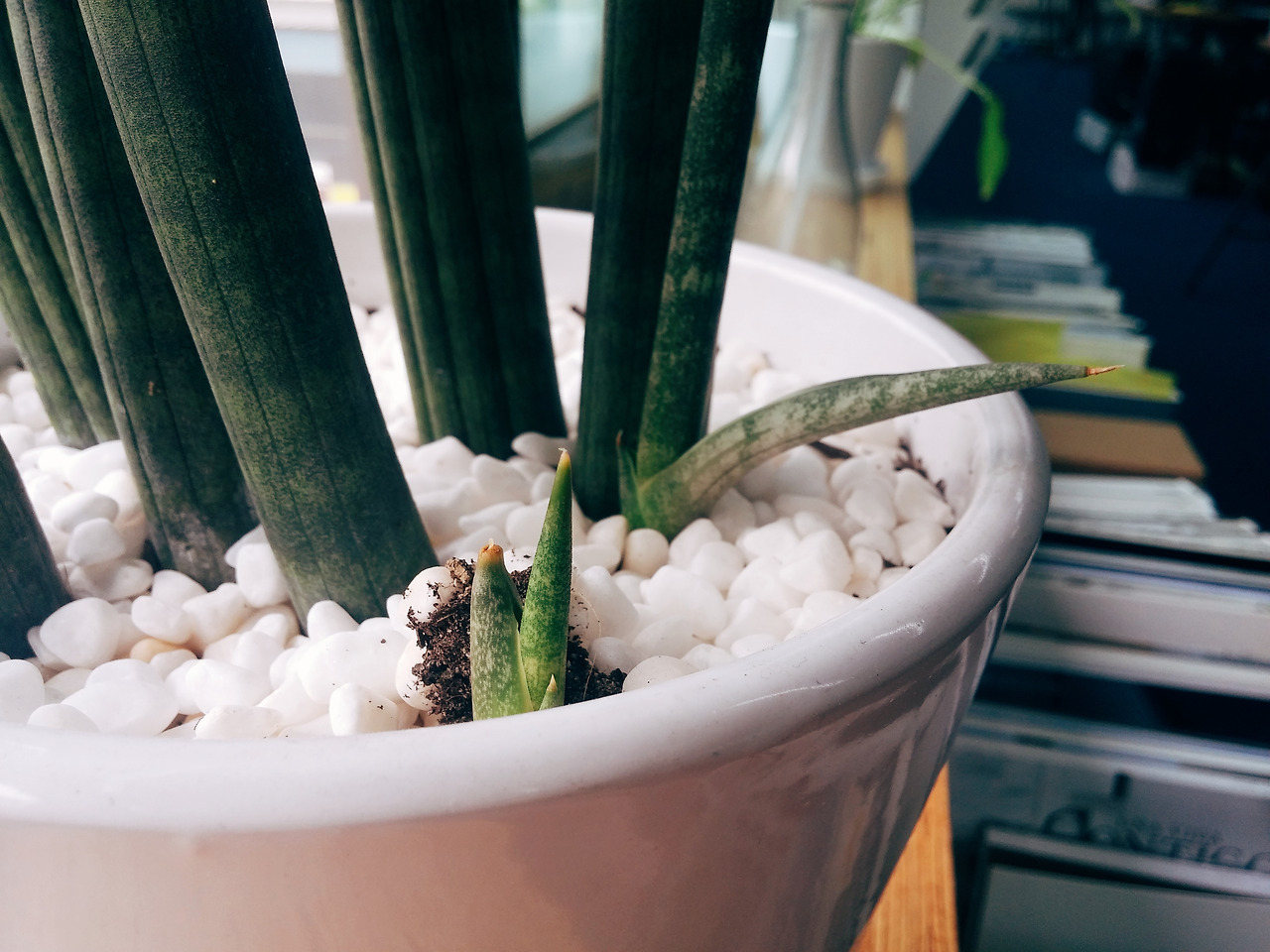 2016-09-08 03.14.24 1.jpg