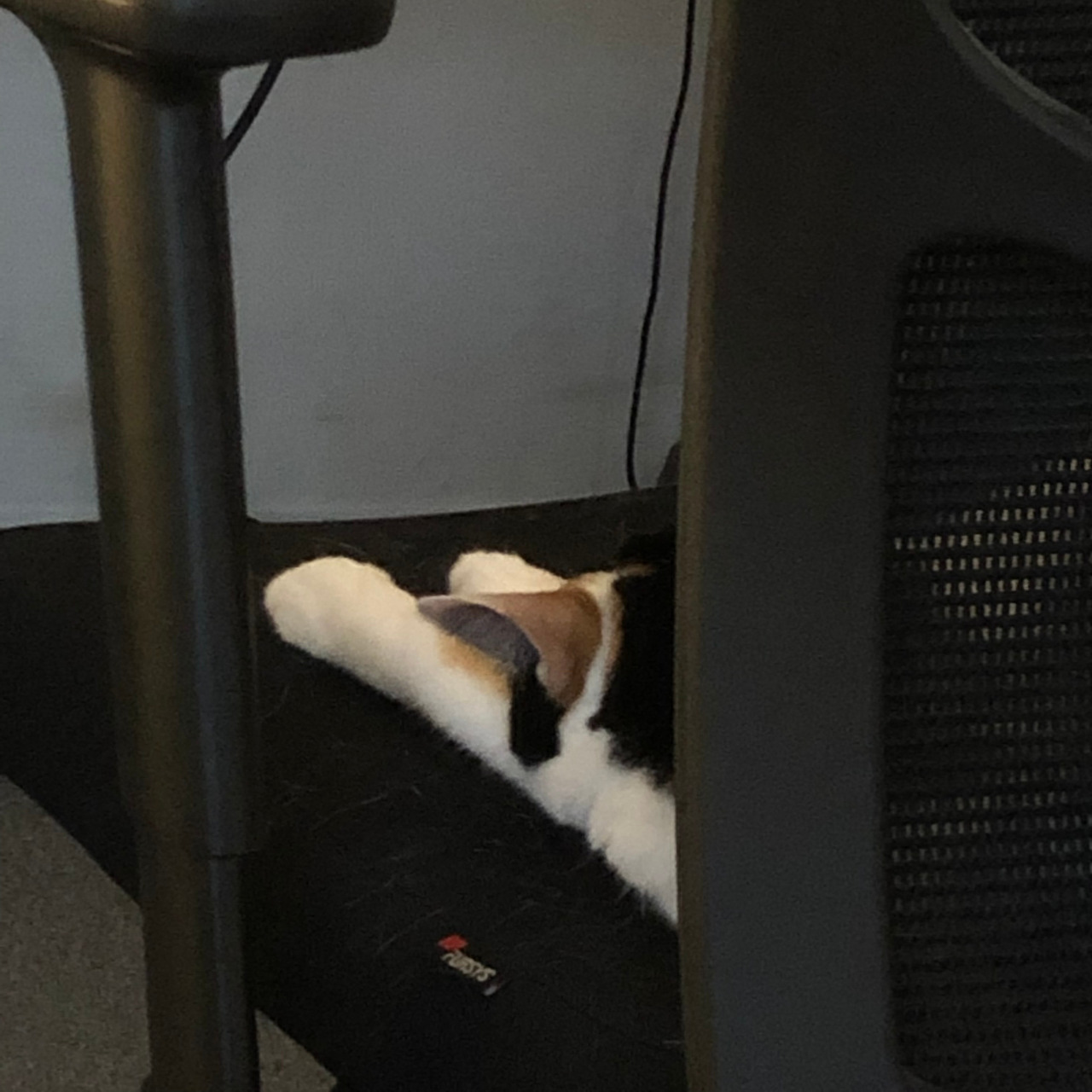 2019-09-14 17.36.16.jpg