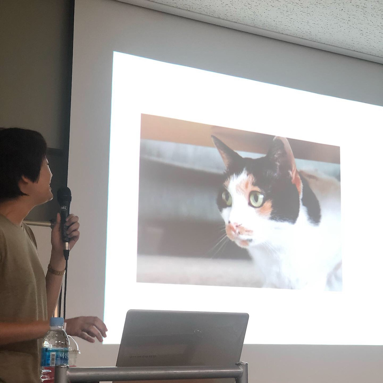 2019-08-26 09.24.17-1-2.jpg